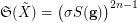 $ \frak S(\tilde X) = \big(\sigma S({\bf g})\big)^{2n-1} $