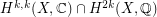 $ H^{k,k}(X,\mathbb{C})\cap H^{2k}(X,\mathbb{Q}) $